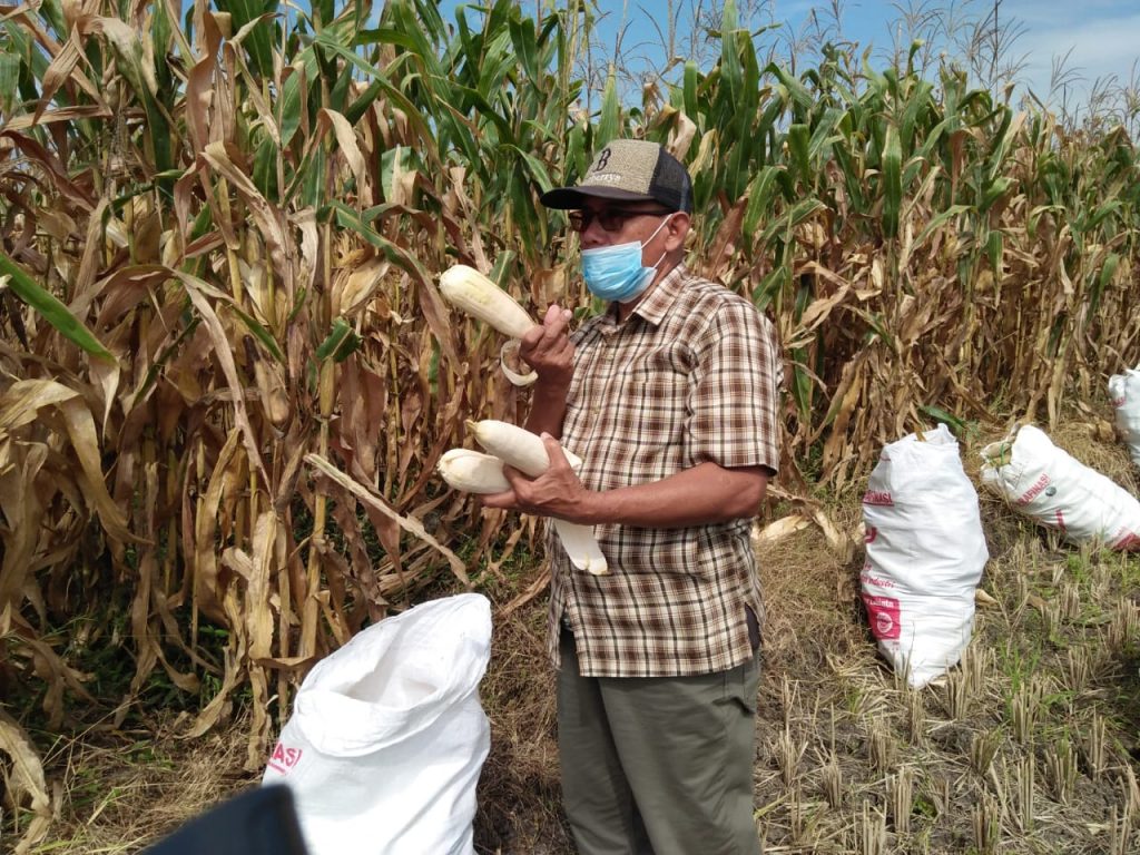 Foto: Supardji Rasban